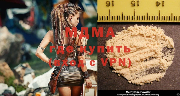 индика Горнозаводск