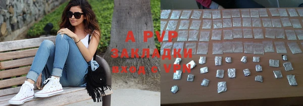 индика Горнозаводск