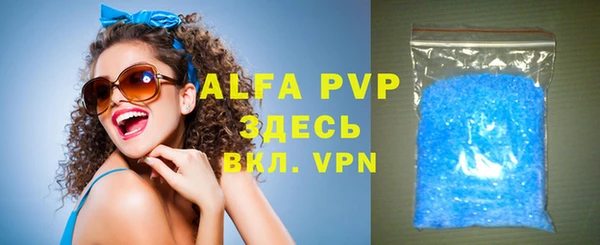 индика Горнозаводск