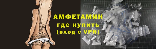 индика Горнозаводск