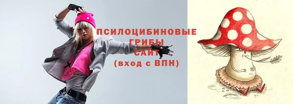 индика Горнозаводск