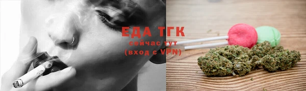 индика Горнозаводск