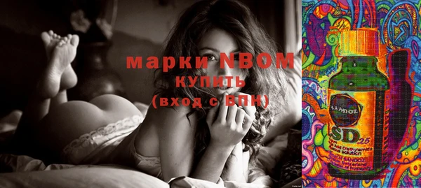 индика Горнозаводск