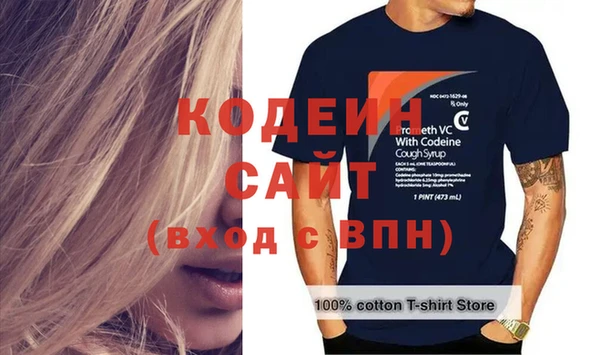 индика Горнозаводск